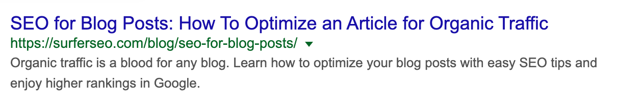 meta title and meta descriptions for "SEO for blogs" article