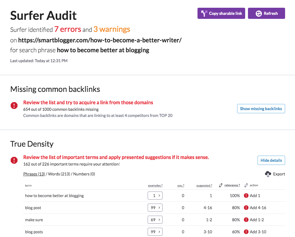 surfer audit report